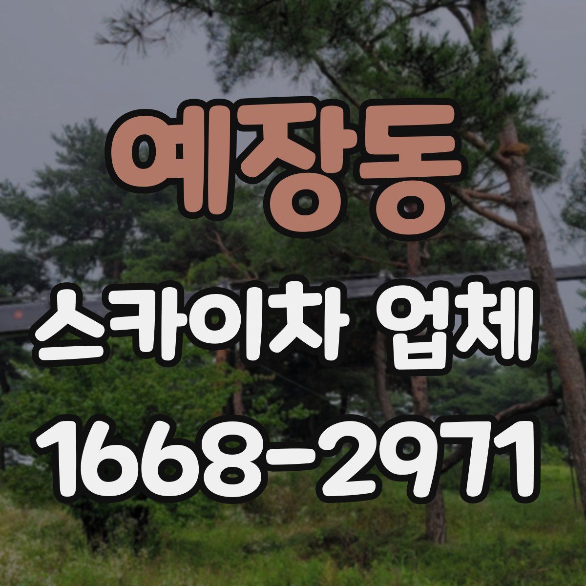 예장동 스카이차 업체