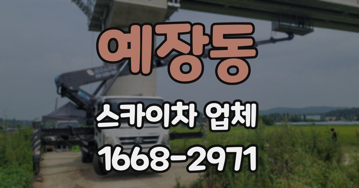 예장동 스카이차 업체