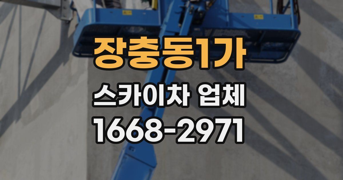 장충동1가 스카이차 업체