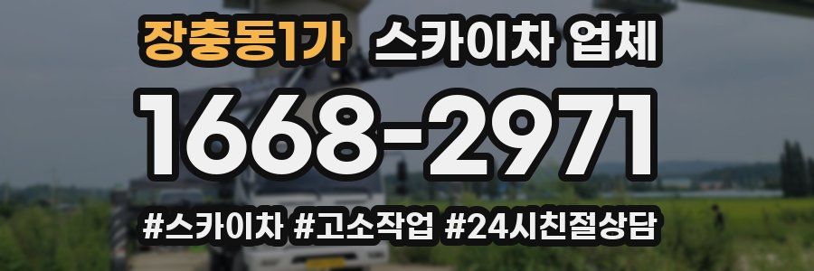 장충동1가 스카이차 업체