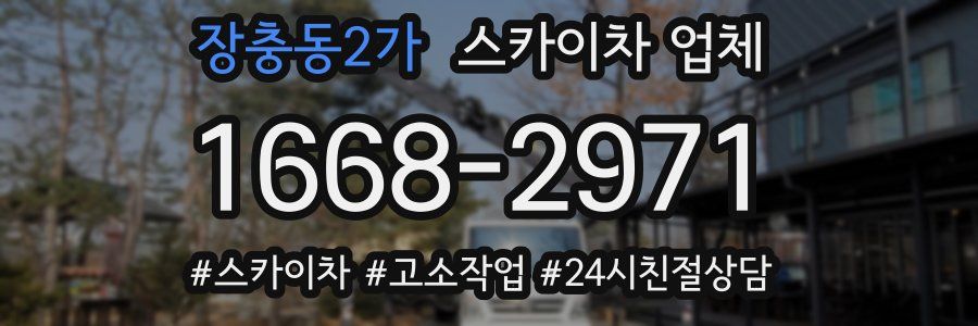 장충동2가 스카이차 업체