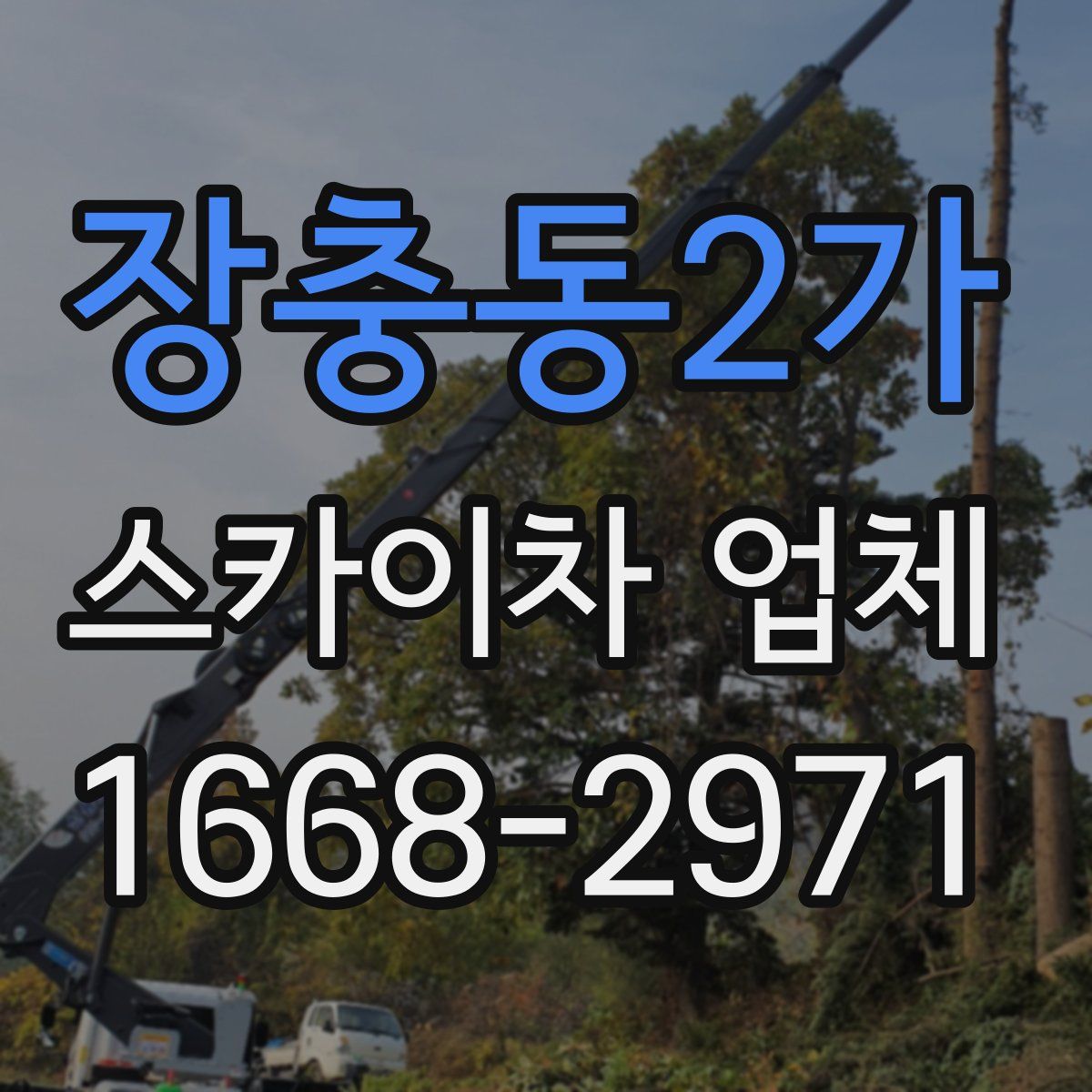 장충동2가 스카이차 업체
