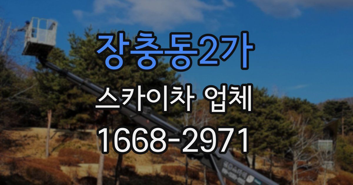 장충동2가 스카이차 업체
