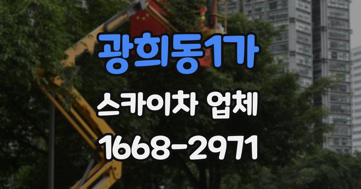 광희동1가 스카이차 업체