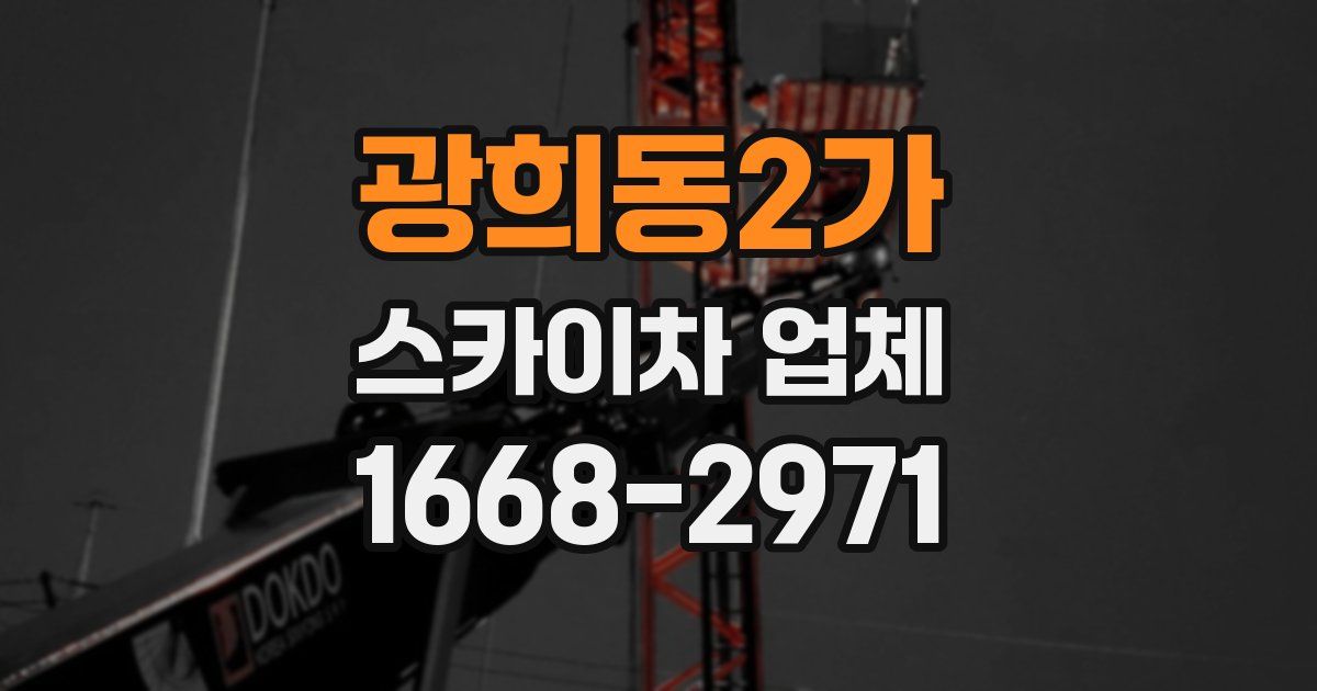 광희동2가 스카이차 업체