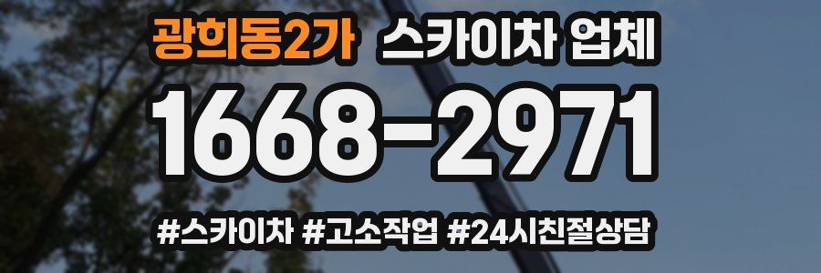 광희동2가 스카이차 업체
