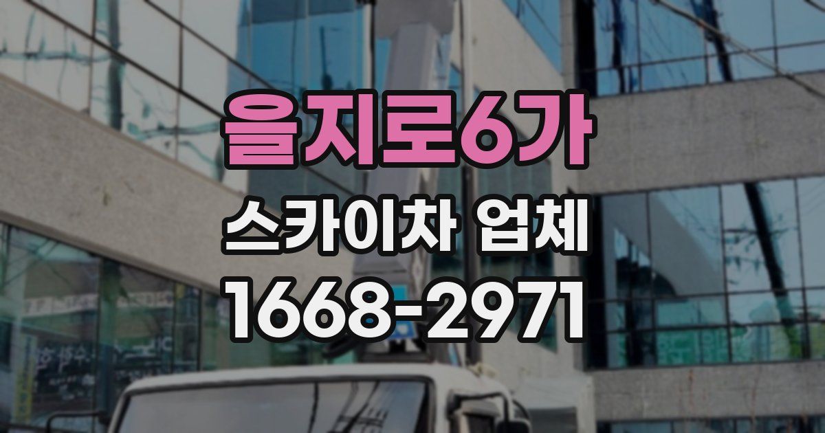 을지로6가 스카이차 업체