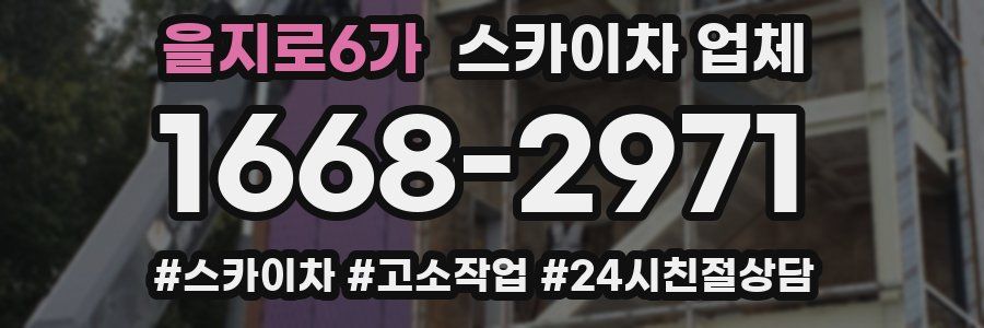 을지로6가 스카이차 업체