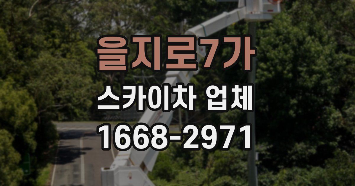 을지로7가 스카이차 업체