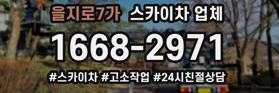 을지로7가 스카이차 업체