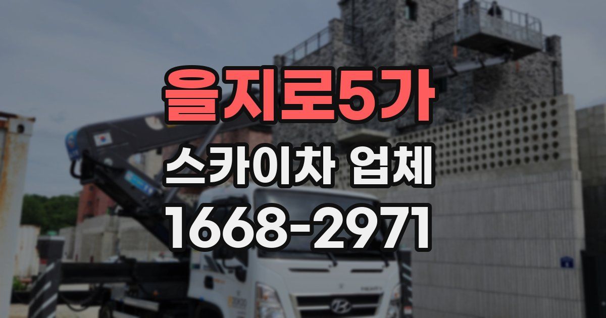 을지로5가 스카이차 업체