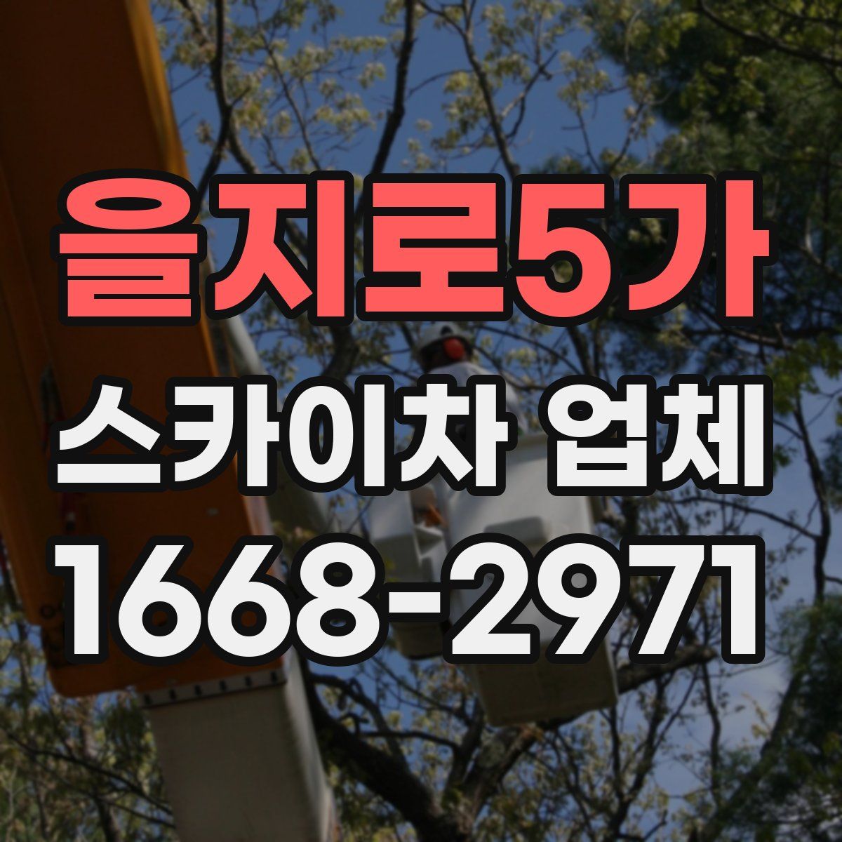 을지로5가 스카이차 업체
