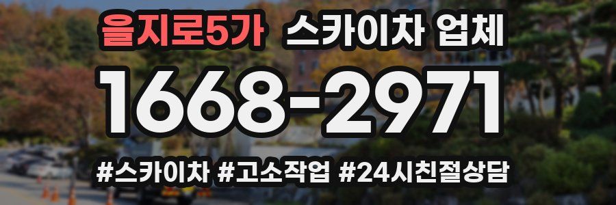 을지로5가 스카이차 업체
