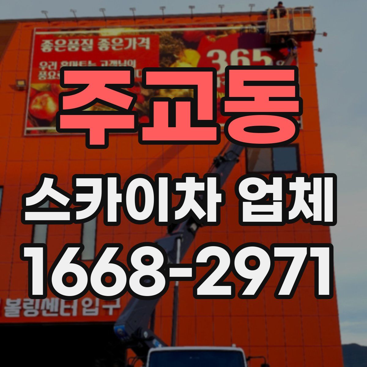 주교동 스카이차 업체