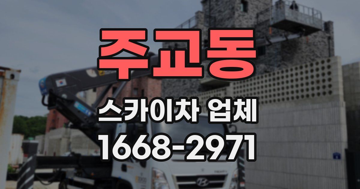 주교동 스카이차 업체