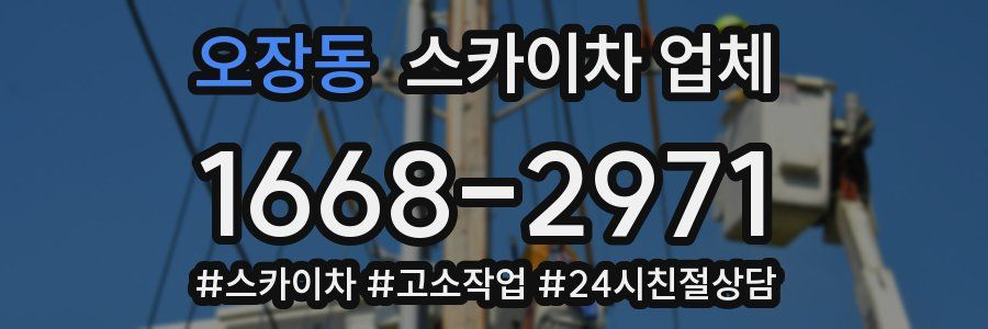 오장동 스카이차 업체