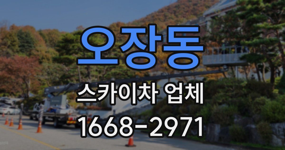 오장동 스카이차 업체