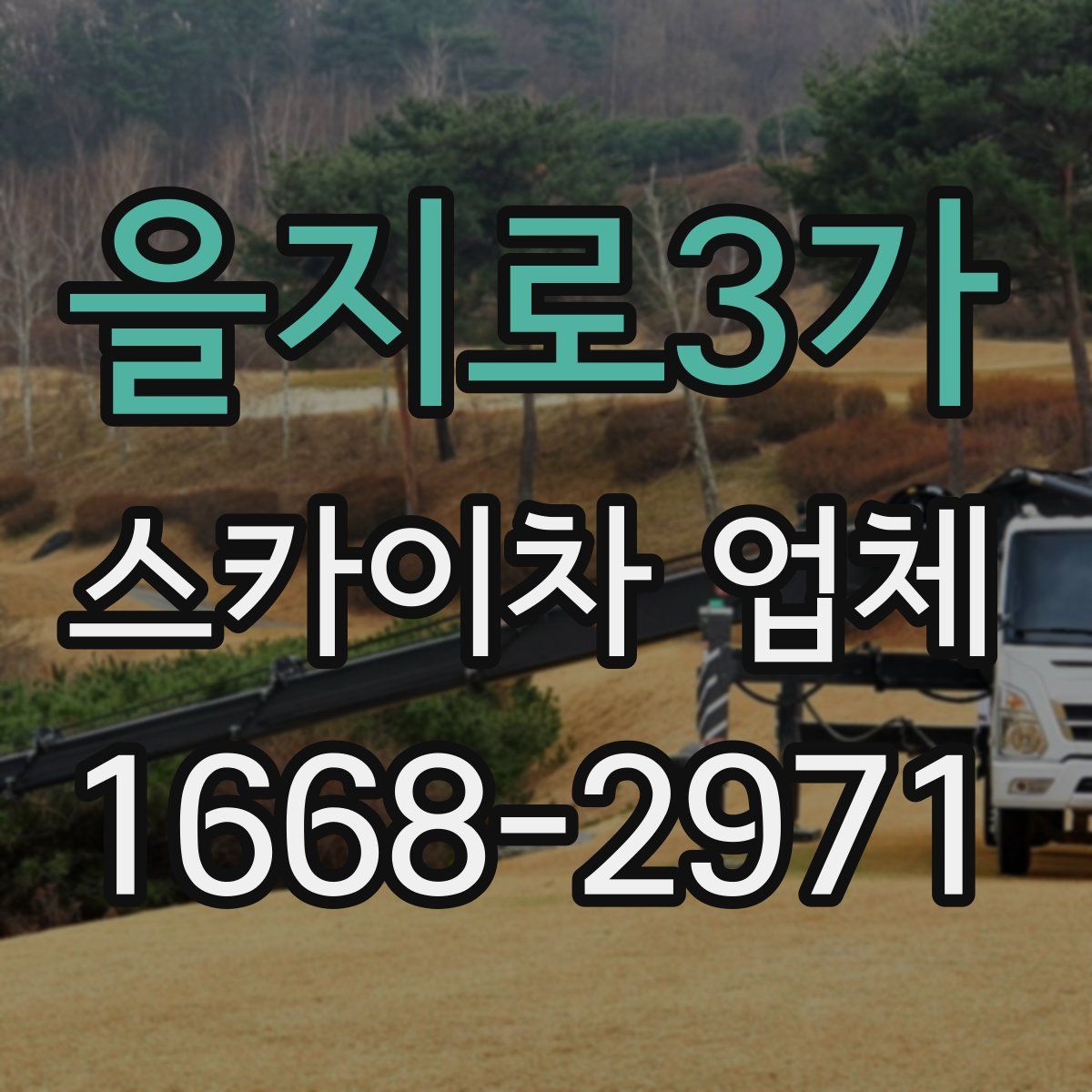 을지로3가 스카이차 업체
