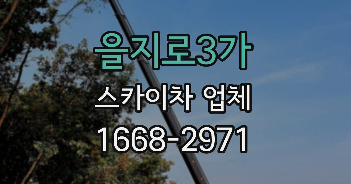 을지로3가 스카이차 업체