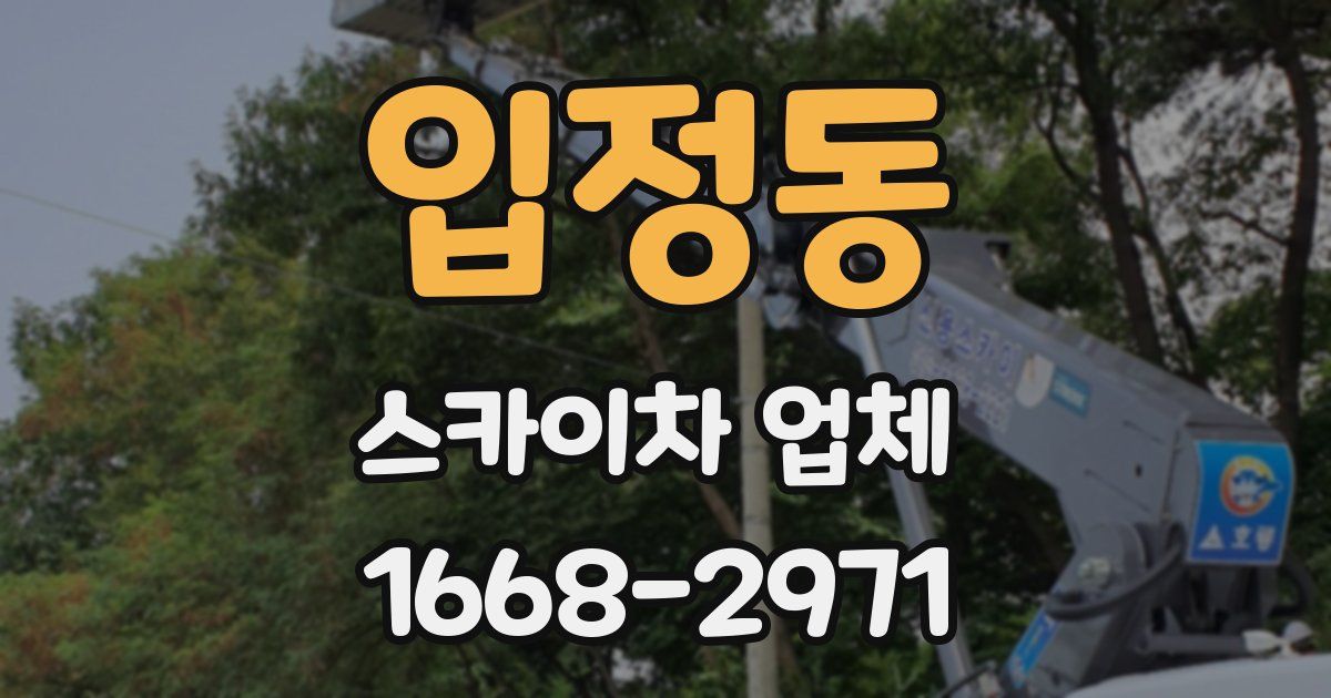 입정동 스카이차 업체