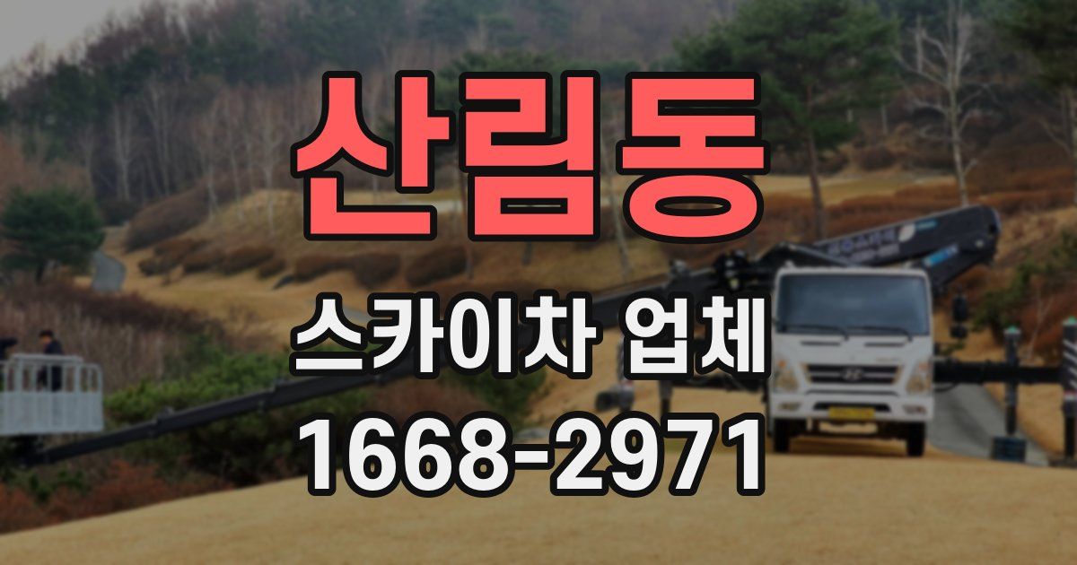 산림동 스카이차 업체