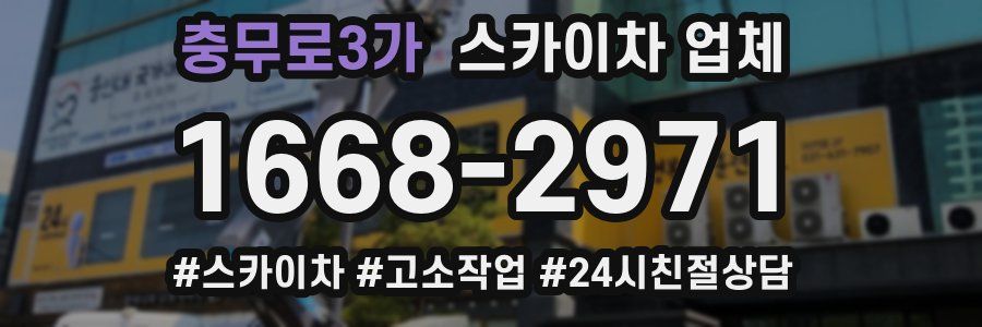 충무로3가 스카이차 업체