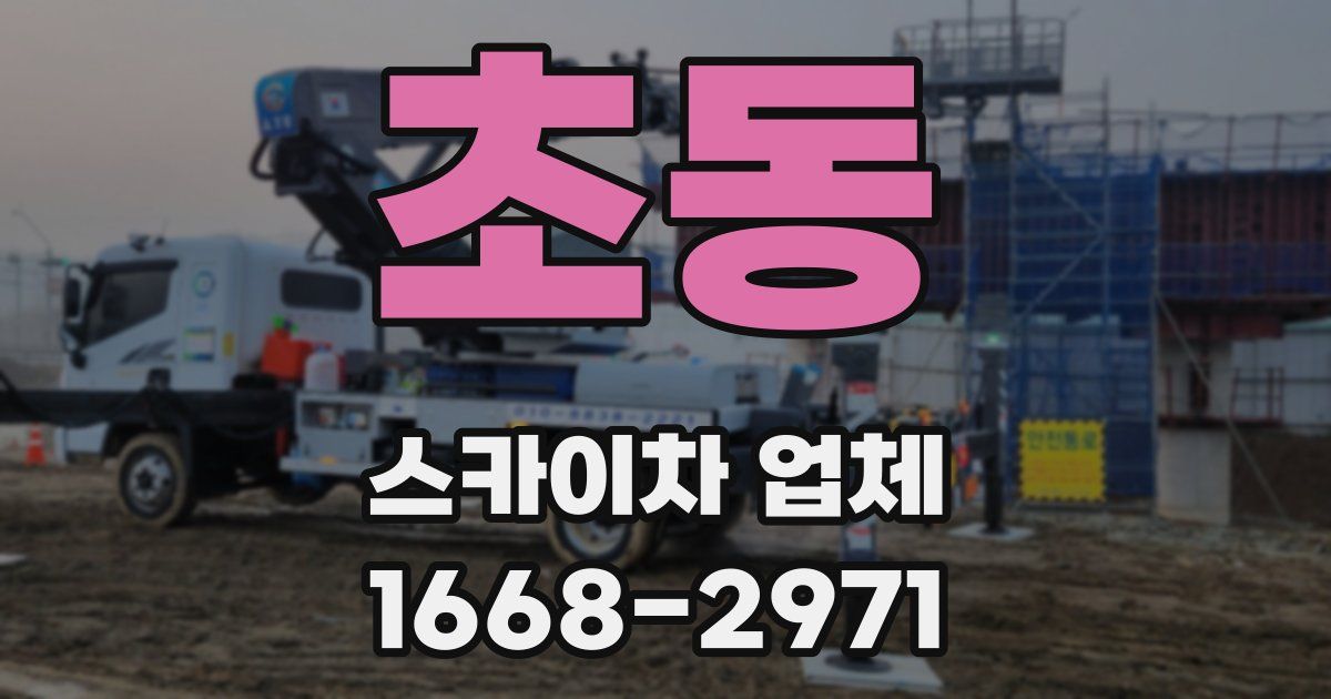 초동 스카이차 업체