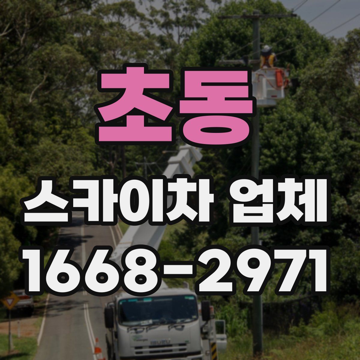 초동 스카이차 업체