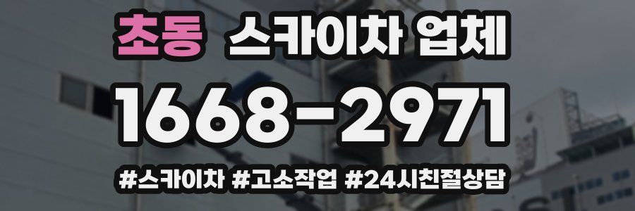 초동 스카이차 업체