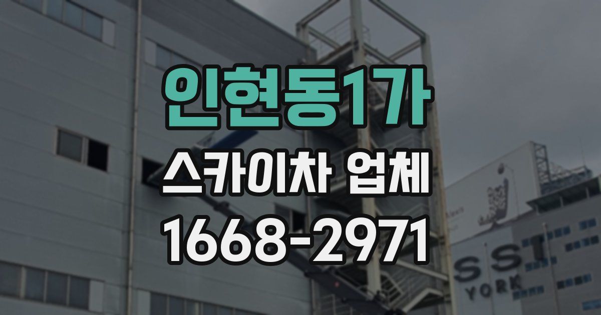 인현동1가 스카이차 업체