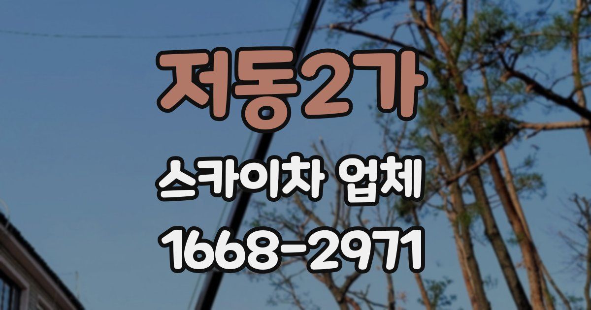 저동2가 스카이차 업체
