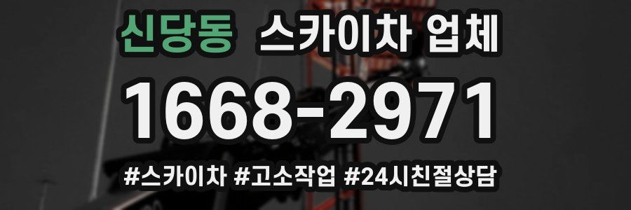 신당동 스카이차 업체