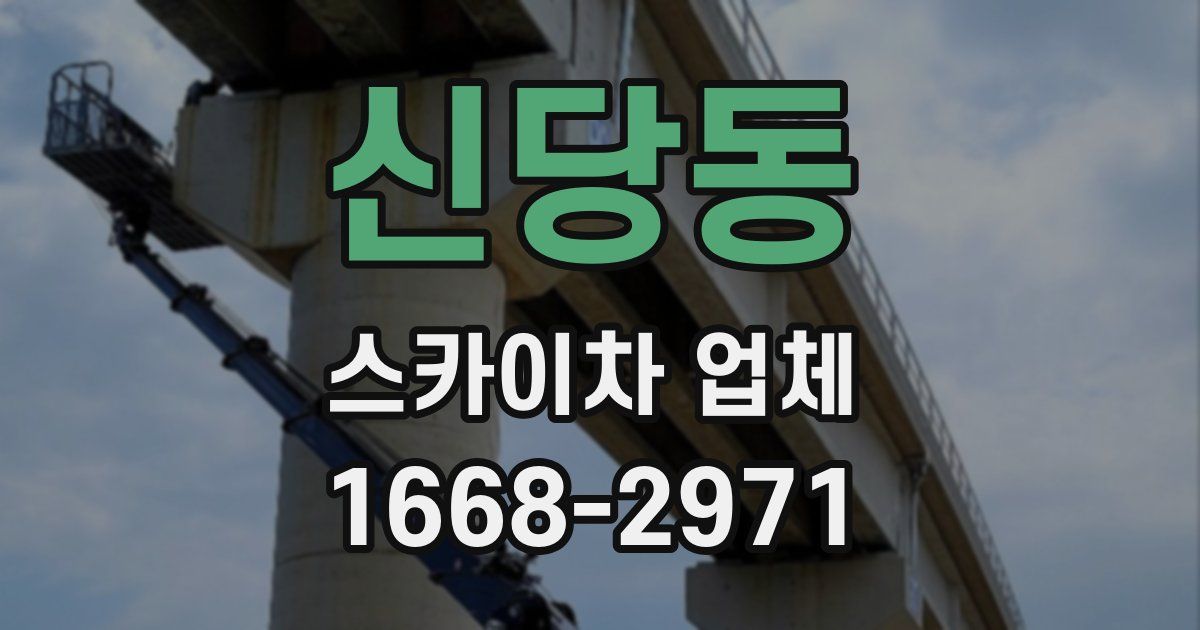 신당동 스카이차 업체