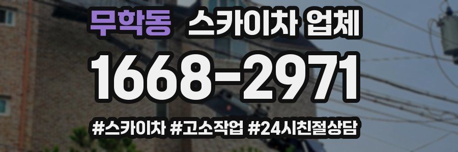 무학동 스카이차 업체