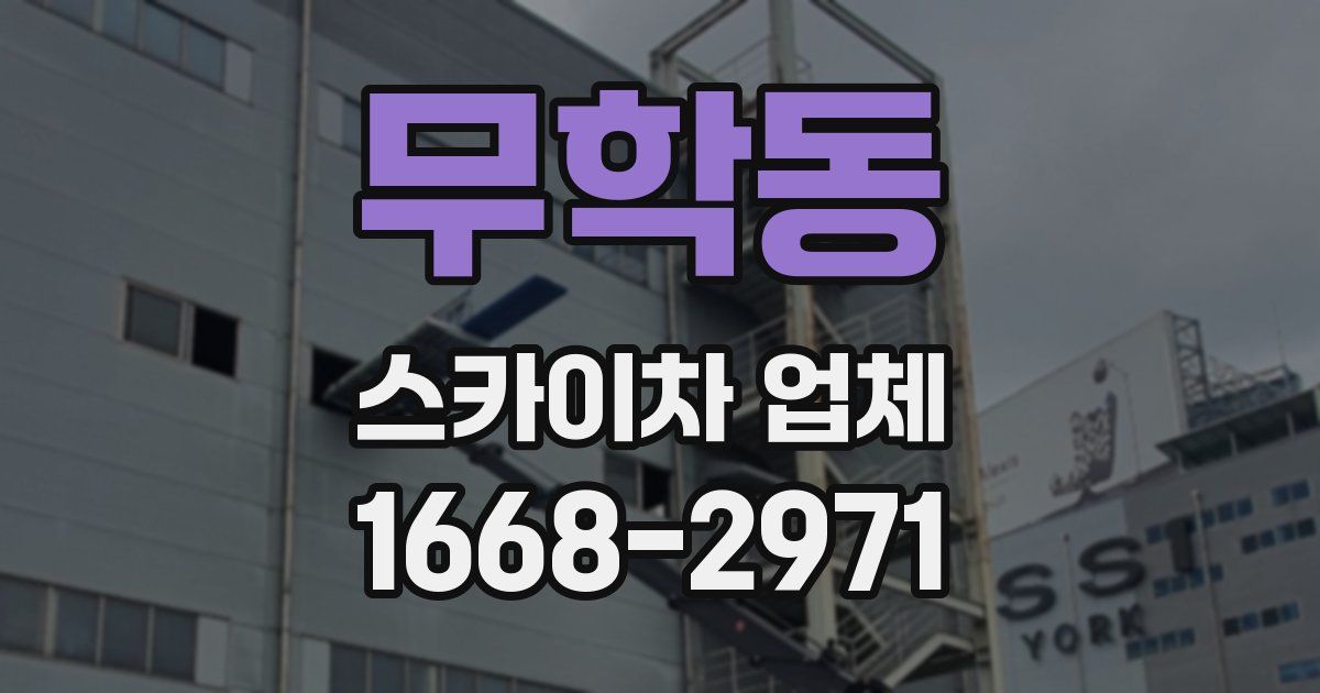 무학동 스카이차 업체