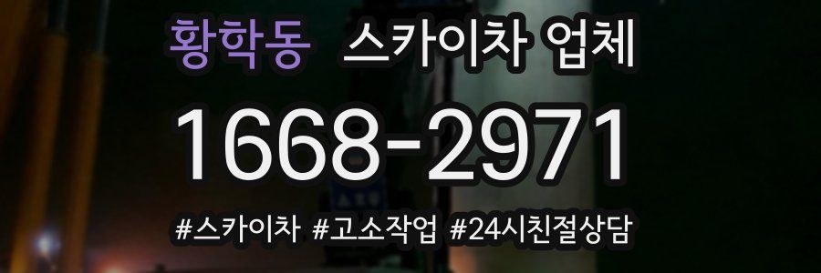 황학동 스카이차 업체