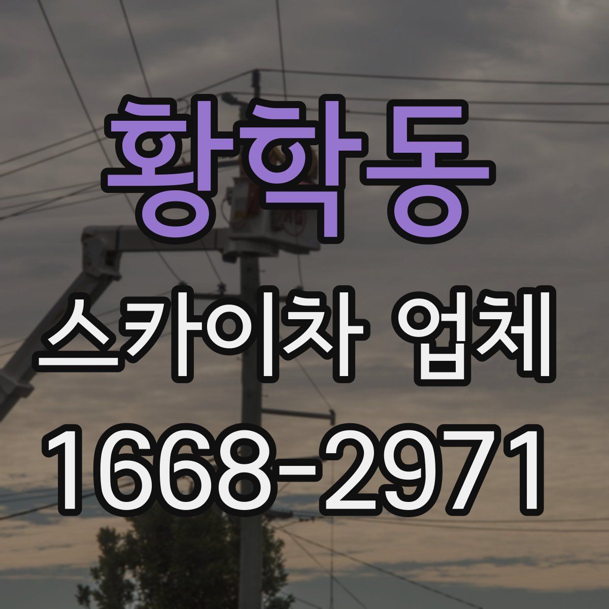 황학동 스카이차 업체