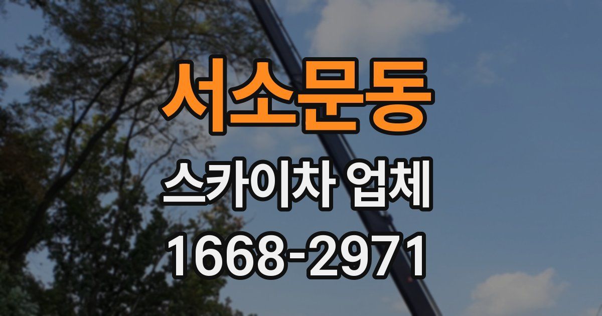 서소문동 스카이차 업체