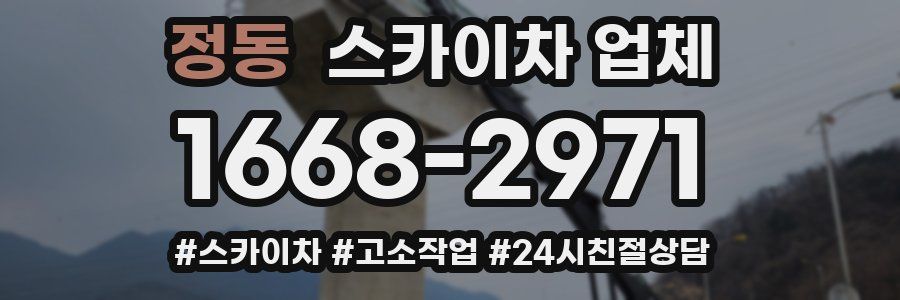 정동 스카이차 업체