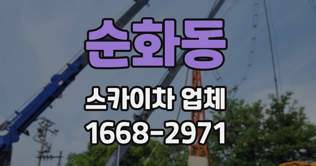 순화동 스카이차 업체