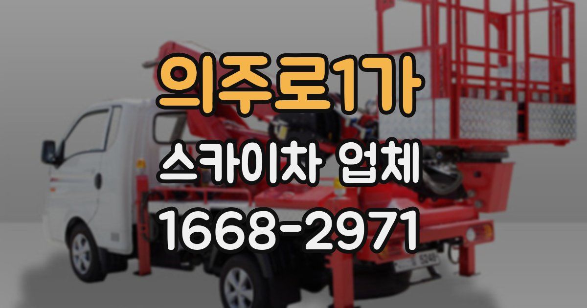 의주로1가 스카이차 업체