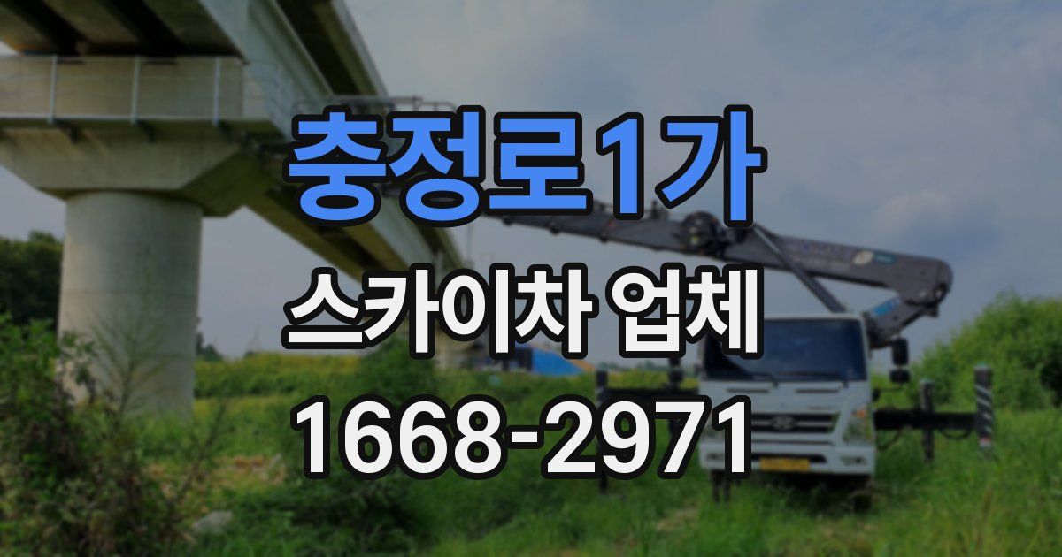충정로1가 스카이차 업체