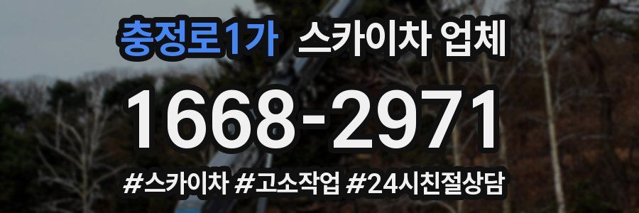 충정로1가 스카이차 업체
