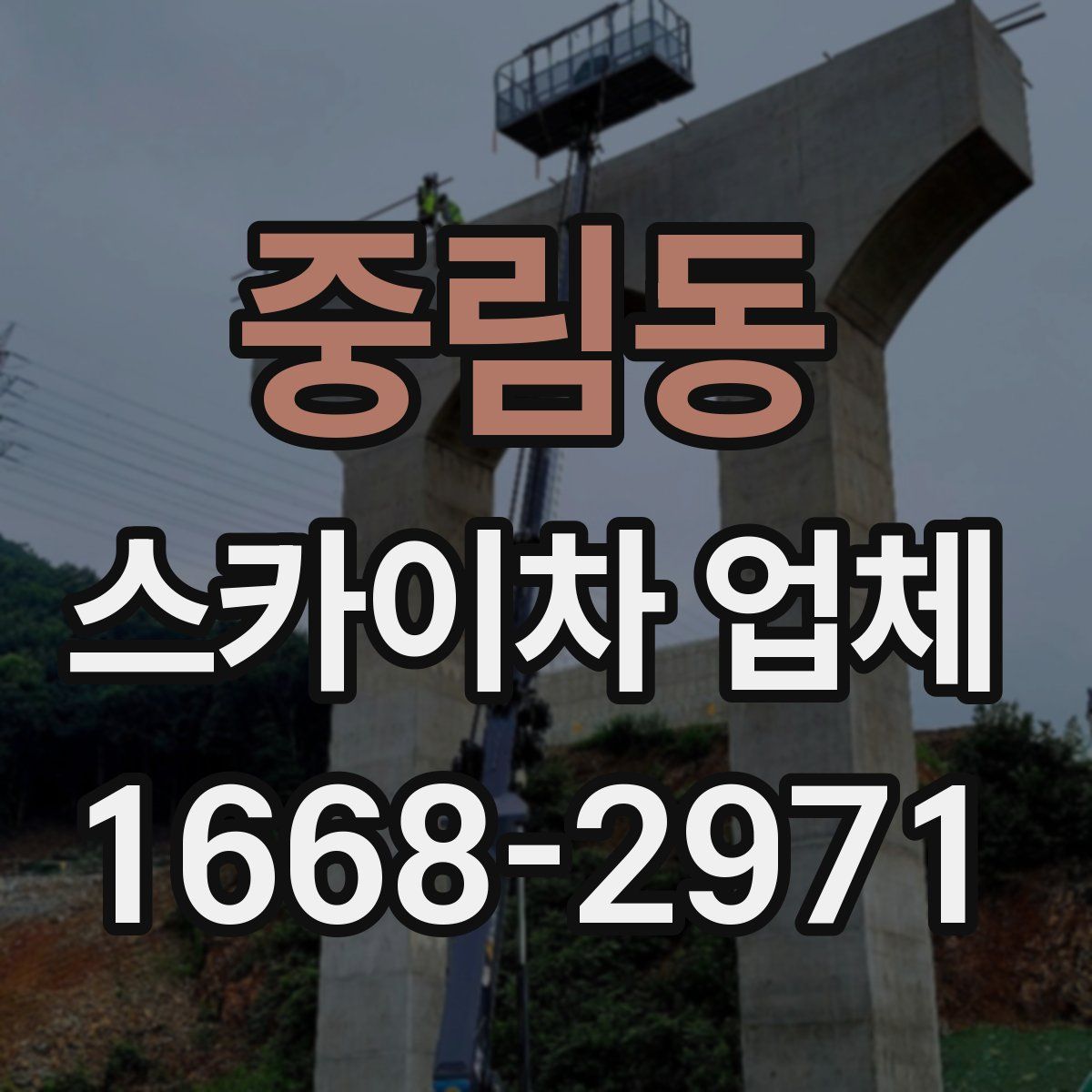 중림동 스카이차 업체
