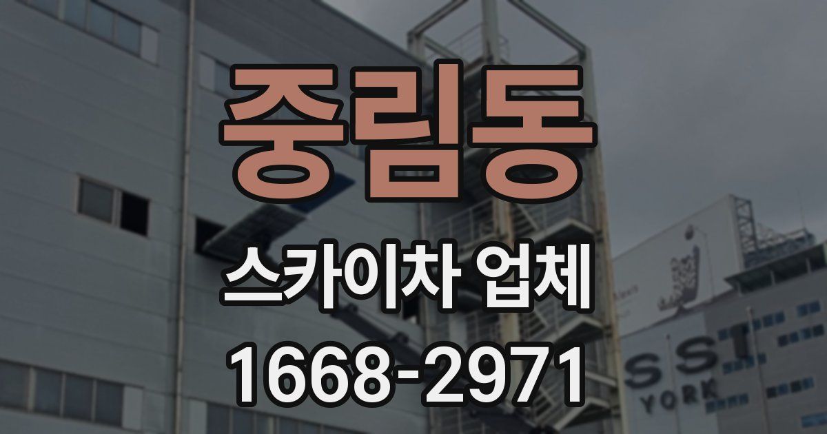 중림동 스카이차 업체