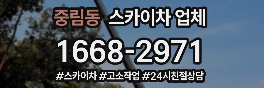 중림동 스카이차 업체