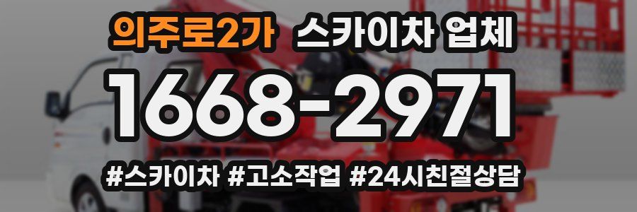 의주로2가 스카이차 업체