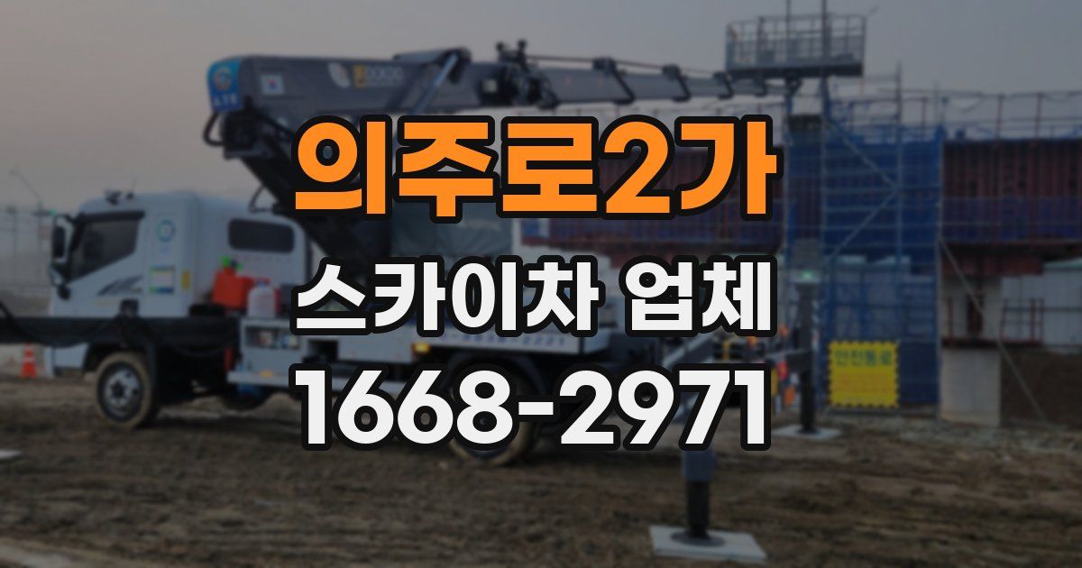 의주로2가 스카이차 업체