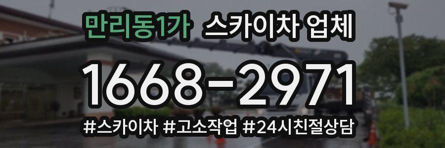 만리동1가 스카이차 업체