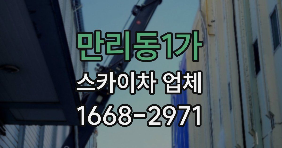 만리동1가 스카이차 업체